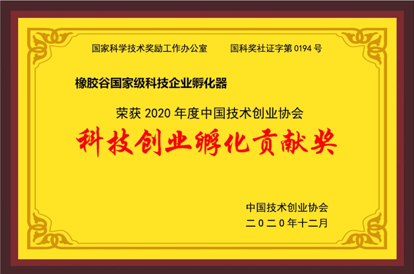 中國技術創業協會-2020年度科技創業孵化貢獻獎-国产精品99无码一区二蜜桃國家級科技企業孵化器-2020.12